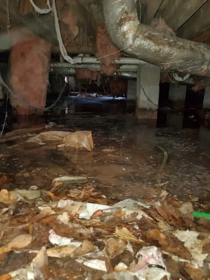 Crawl space flood assessment for Commercial Water Damage Restoration in Fort Myers Beach